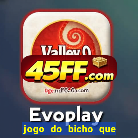 jogo do bicho que paga no pix